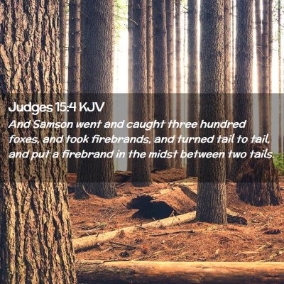 Judges 15:4 KJV Free Bible Images