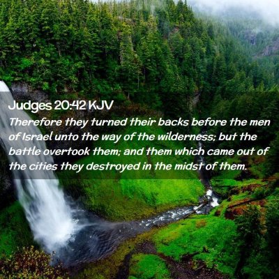 Judges 20:42 KJV Free Bible Images