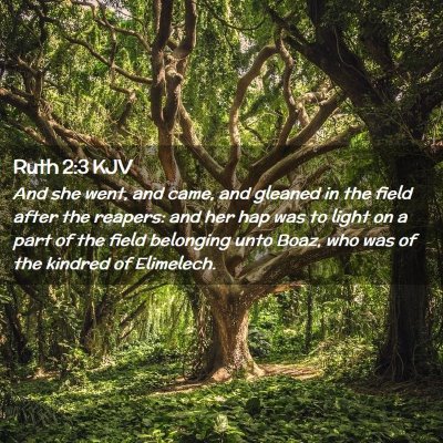 Ruth 2:3 KJV Free Bible Images