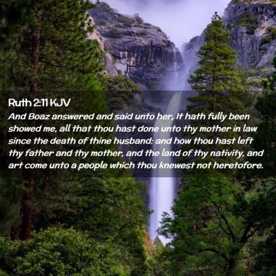 Ruth 2:11 KJV Free Bible Images