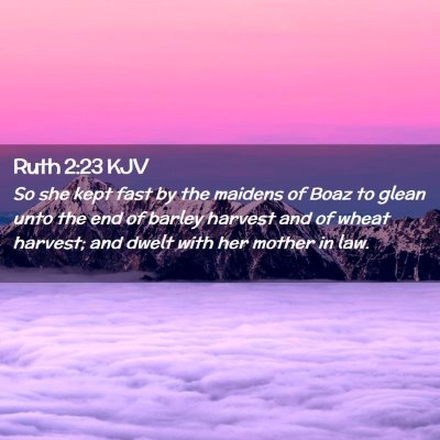 Ruth 2:23 KJV Free Bible Images