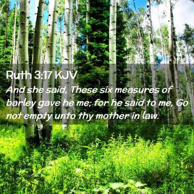 Ruth 3:17 KJV Free Bible Images