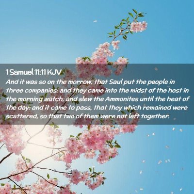 1 Samuel 11:11 KJV Free Bible Images