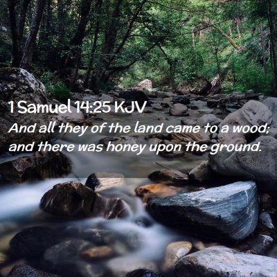 1 Samuel 14:25 KJV Free Bible Images