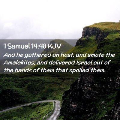 1 Samuel 14:48 KJV Free Bible Images