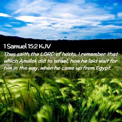 1 Samuel 15:2 KJV Free Bible Images