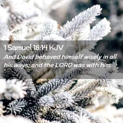 1 Samuel 18:14 KJV Free Bible Images