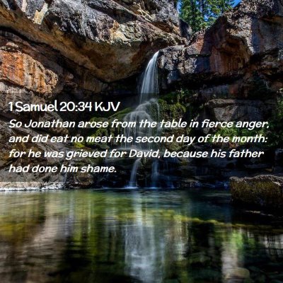 1 Samuel 20:34 KJV Free Bible Images