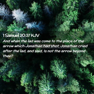 1 Samuel 20:37 KJV Free Bible Images