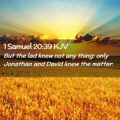 1 Samuel 20:39 KJV Free Bible Images