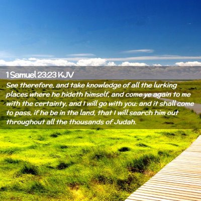 1 Samuel 23:23 KJV Free Bible Images