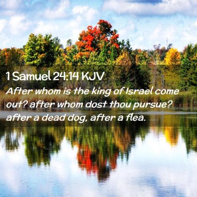 1 Samuel 24:14 KJV Free Bible Images