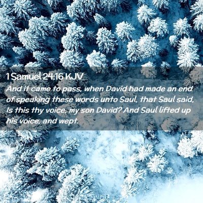 1 Samuel 24:16 KJV Free Bible Images