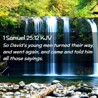 1 Samuel 25:12 KJV Free Bible Images