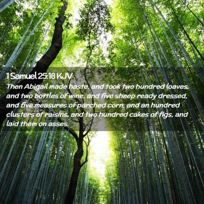 1 Samuel 25:18 KJV Free Bible Images