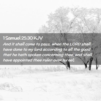 1 Samuel 25:30 KJV Free Bible Images