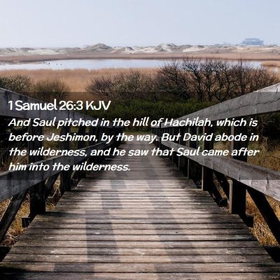 1 Samuel 26:3 KJV Free Bible Images