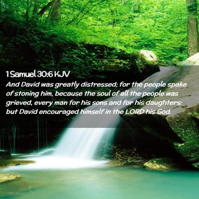 1 Samuel 30:6 KJV Free Bible Images