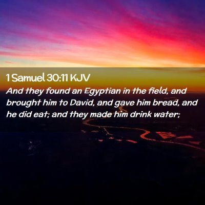 1 Samuel 30:11 KJV Free Bible Images