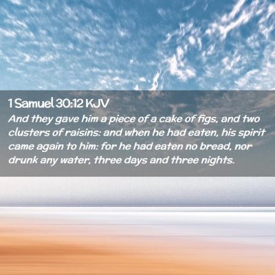 1 Samuel 30:12 KJV Free Bible Images