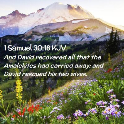 1 Samuel 30:18 KJV Free Bible Images