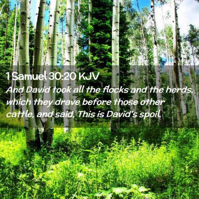 1 Samuel 30:20 KJV Free Bible Images