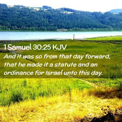 1 Samuel 30:25 KJV Free Bible Images