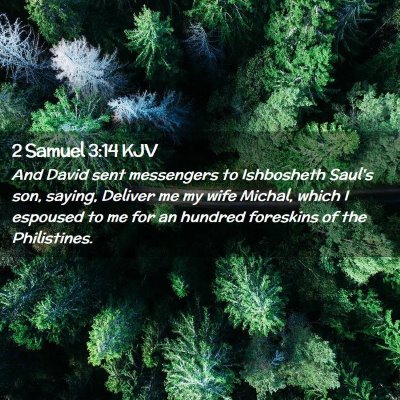 2 Samuel 3:14 KJV Free Bible Images