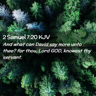 2 Samuel 7:20 KJV Free Bible Images