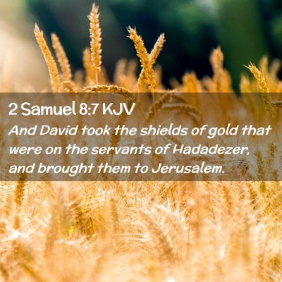 2 Samuel 8:7 KJV Free Bible Images