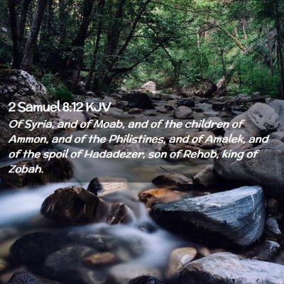 2 Samuel 8:12 KJV Free Bible Images