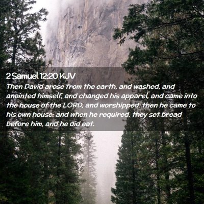 2 Samuel 12:20 KJV Free Bible Images