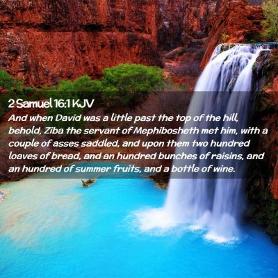 2 Samuel 16:1 KJV Free Bible Images