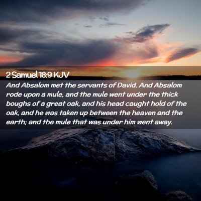 2 Samuel 18:9 KJV Free Bible Images