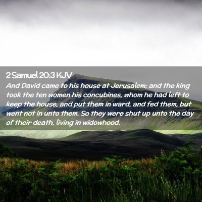 2 Samuel 20:3 KJV Free Bible Images