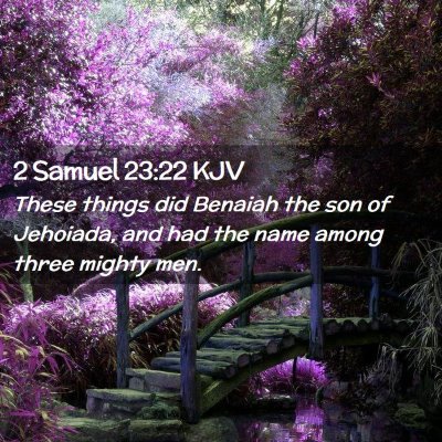 2 Samuel 23:22 KJV Free Bible Images