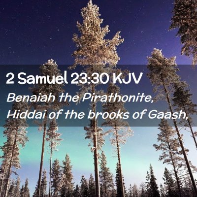 2 Samuel 23:30 KJV Free Bible Images