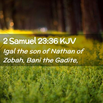 2 Samuel 23:36 KJV Free Bible Images