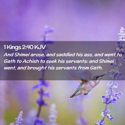 1 Kings 2:40 KJV Free Bible Images