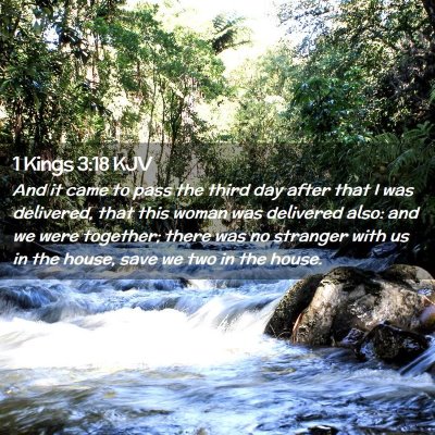 1 Kings 3:18 KJV Free Bible Images