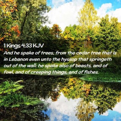 1 Kings 4:33 KJV Free Bible Images