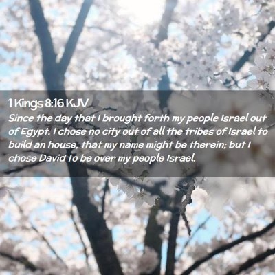 1 Kings 8:16 KJV Free Bible Images