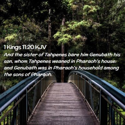 1 Kings 11:20 KJV Free Bible Images