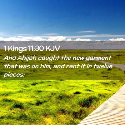 1 Kings 11:30 KJV Free Bible Images