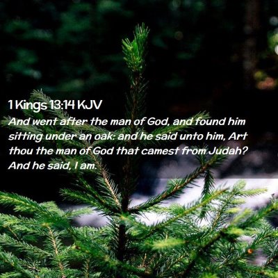 1 Kings 13:14 KJV Free Bible Images