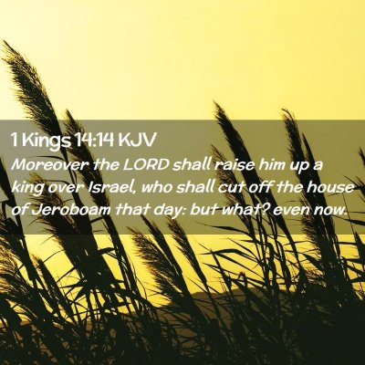 1 Kings 14:14 KJV Free Bible Images