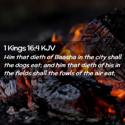 1 Kings 16:4 KJV Free Bible Images