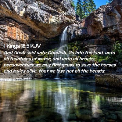 1 Kings 18:5 KJV Free Bible Images