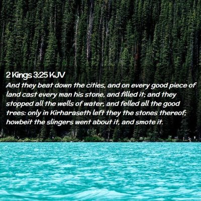 2 Kings 3:25 KJV Free Bible Images