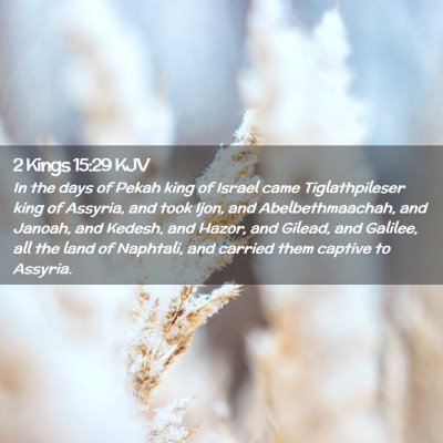 2 Kings 15:29 KJV Free Bible Images